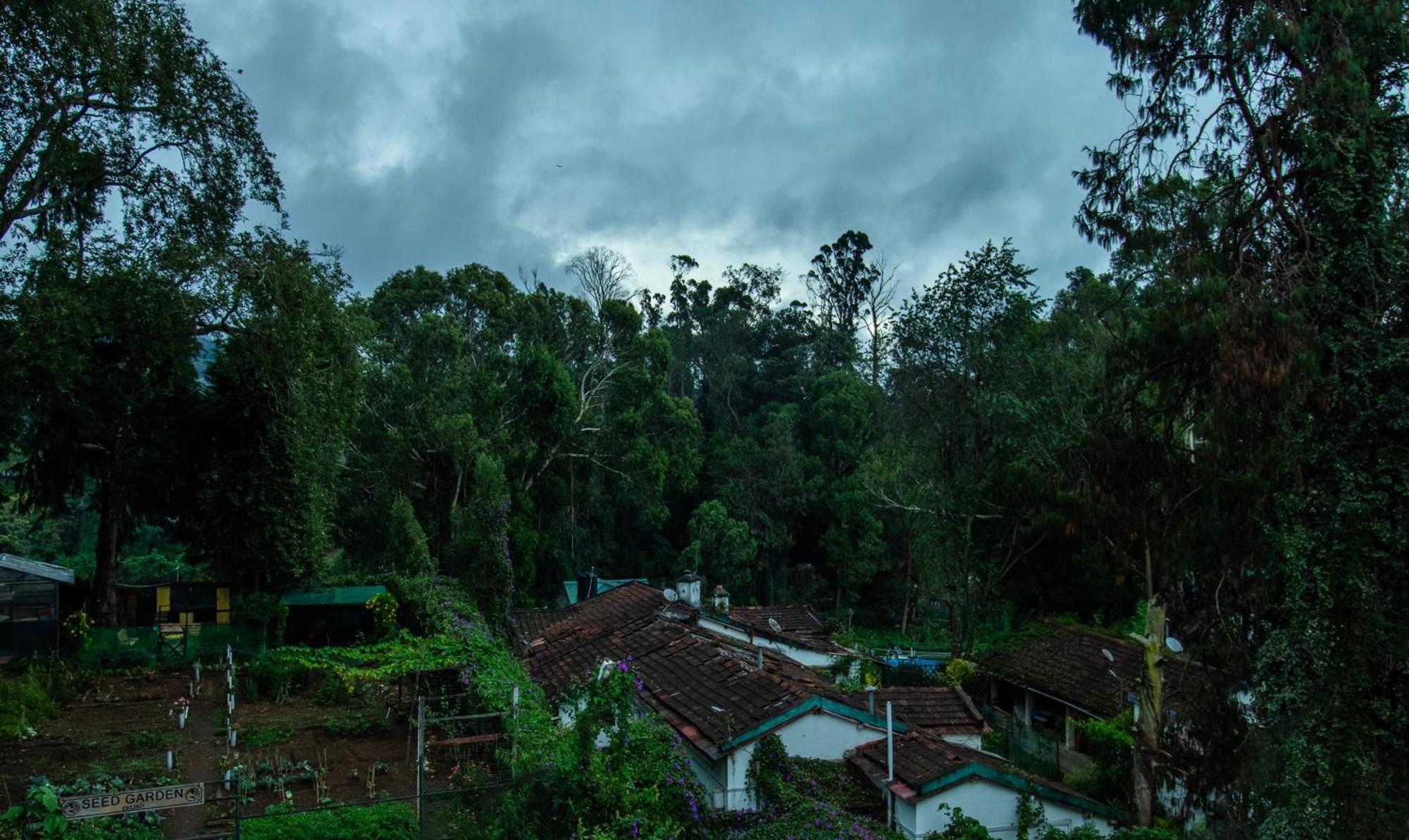 Treebo Kodai Kings Park, 650 M From Kodai Lake โกไดกานัล ภายนอก รูปภาพ